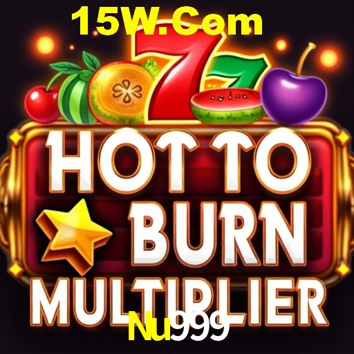 API Integration Nu999