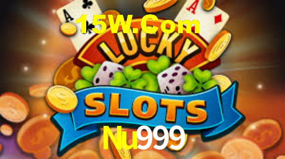 Segurança e privacidade no APP Nu999